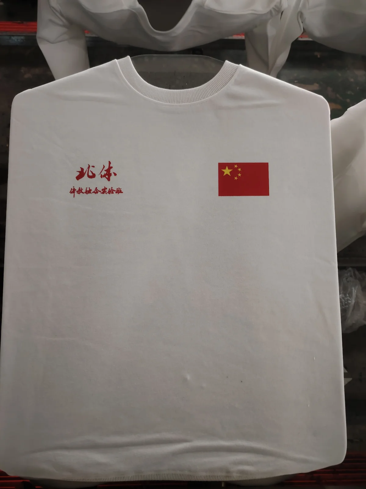 丝印定制卫衣 — Screen print hoodie front